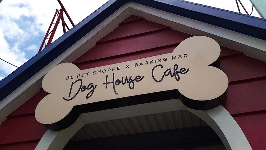 Conclusion: Dog Café in Bulacan
