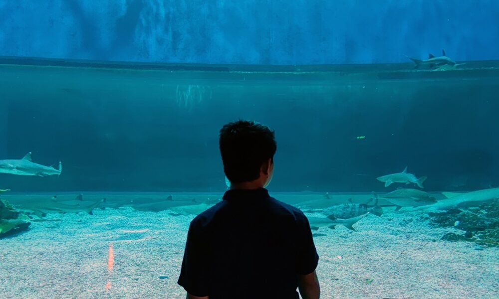 Manila Ocean Park 2026