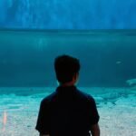 Manila Ocean Park 2026