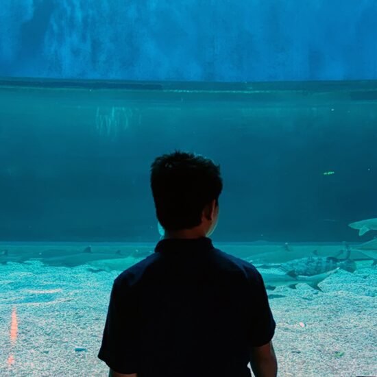 Manila Ocean Park 2026