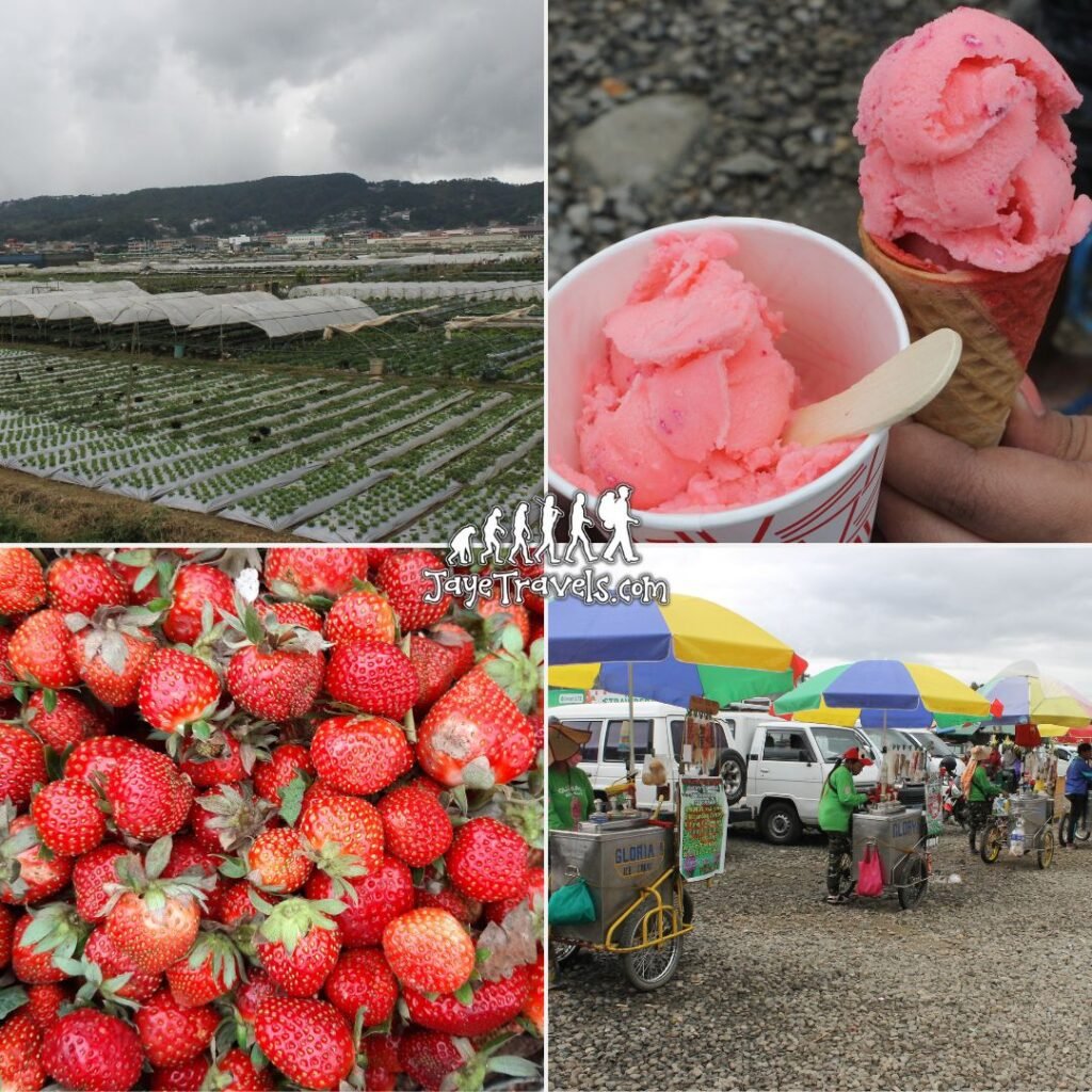 Things to do in La Trinidad Strawberry Farm