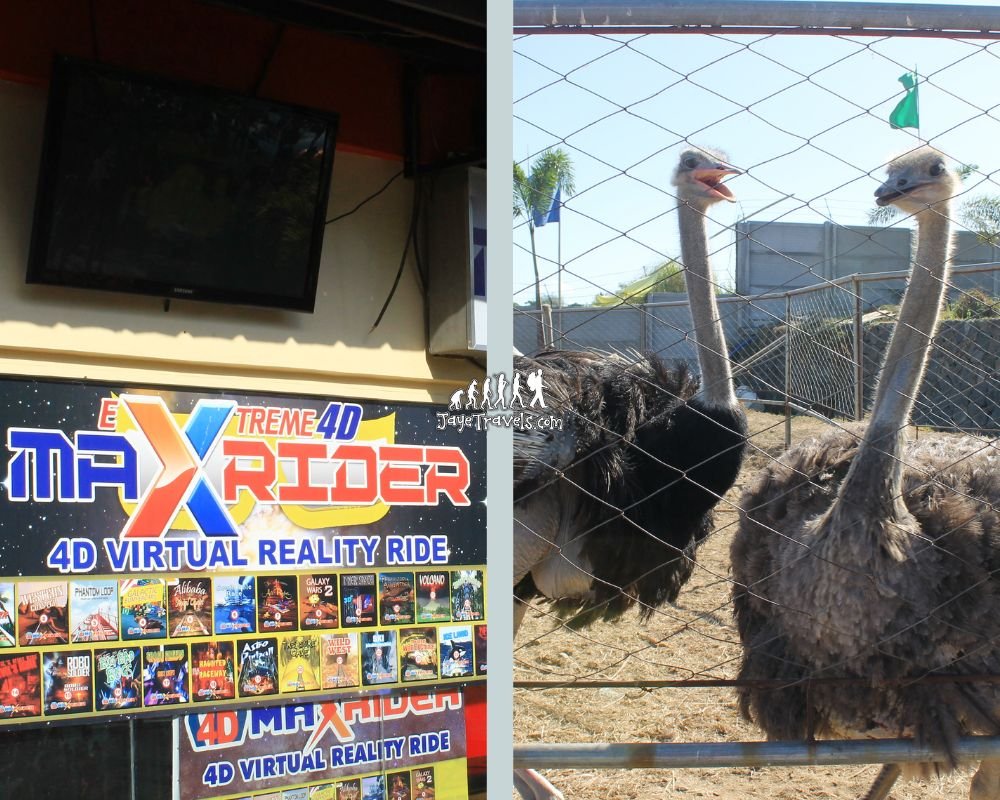 A Must-Visit Resort in Bulacan: Amana Waterpark 1 More Activities