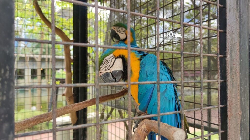 Mini Zoo in Bocaue Mini Zoo in Bocaue