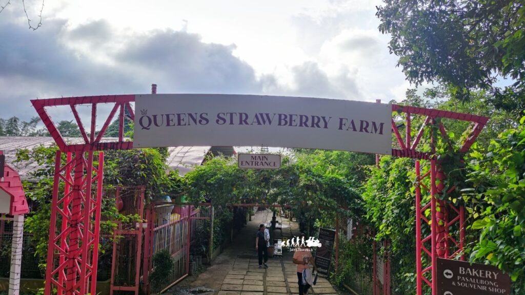 Strawberry Farm in Tagaytay Strawberry Farm in Tagaytay