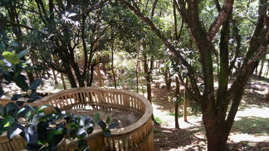 Nature Trip During Company Outing