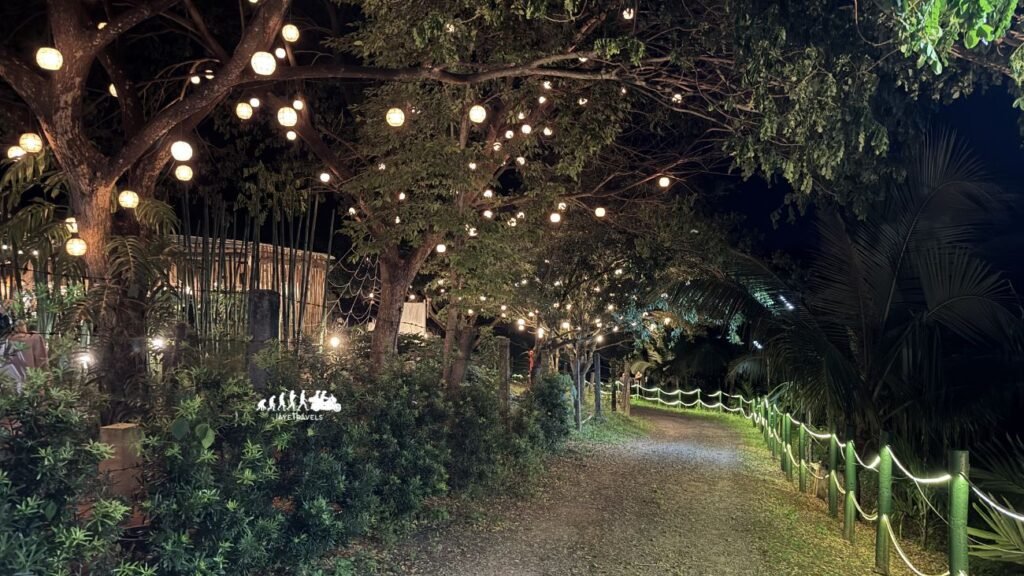 Tree Lights in Bambu Cafe