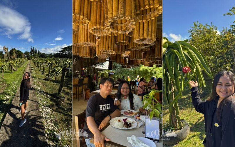 Dragonfruit Farm in Bulacan