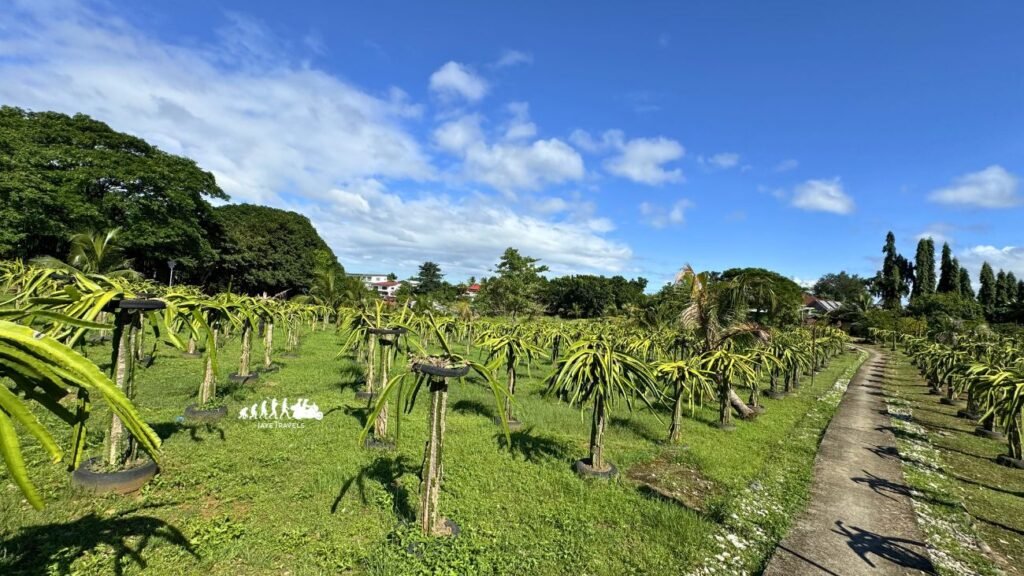 Staycation in San Rafael Bulacan